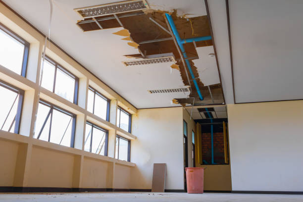 Best Mold removal after water damage  in Houserville, PA