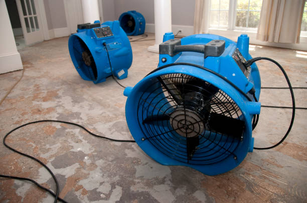 Best Ceiling water damage repair  in Houserville, PA