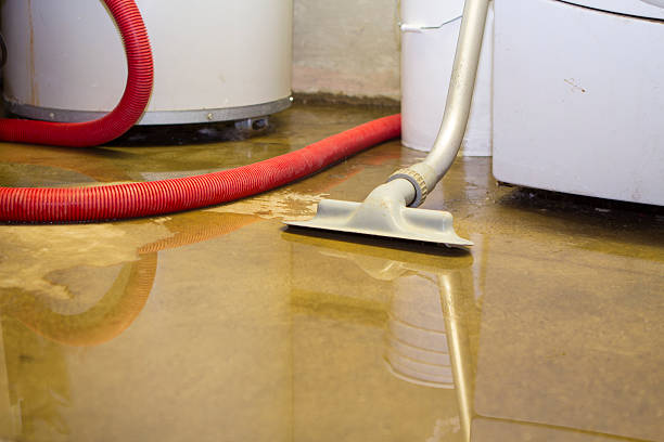 Best Flooded house restoration  in Houserville, PA